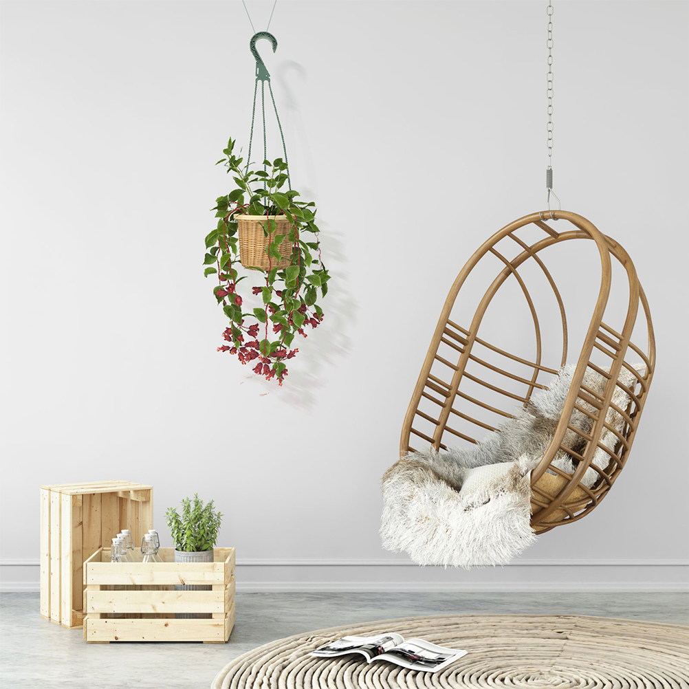 Spider Plant Hanging - Набор из 5 подвесных крючков для