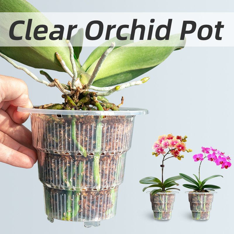 Aloe Vera Pot - Прозрачные пластиковые горшки для орхидей с
