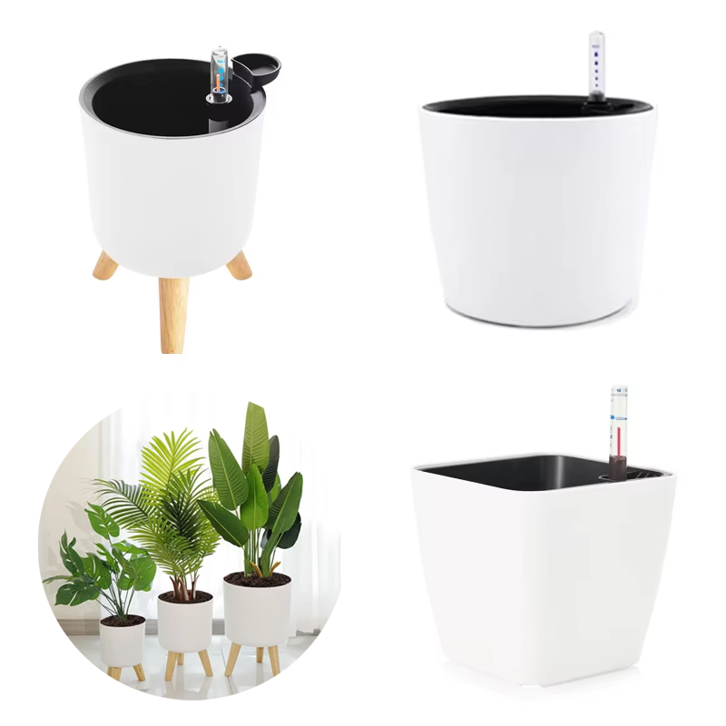 Aloe Vera Pot - 1 шт. пластиковый горшок для цветов