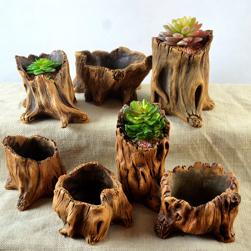 Echeveria Succulent - Имитация деревянных кольев, корни деревьев, посадка