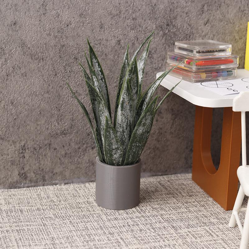 Миниатюрное растение алоэ вера – обзор и цена Aloe Vera Pot