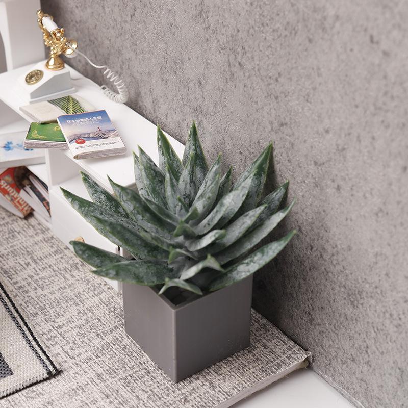 Миниатюрное растение алоэ вера – обзор и цена Aloe Vera Pot