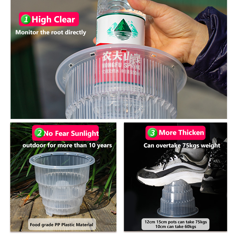 Прозрачные пластиковые горшки  – обзор и цена Aloe Vera Pot