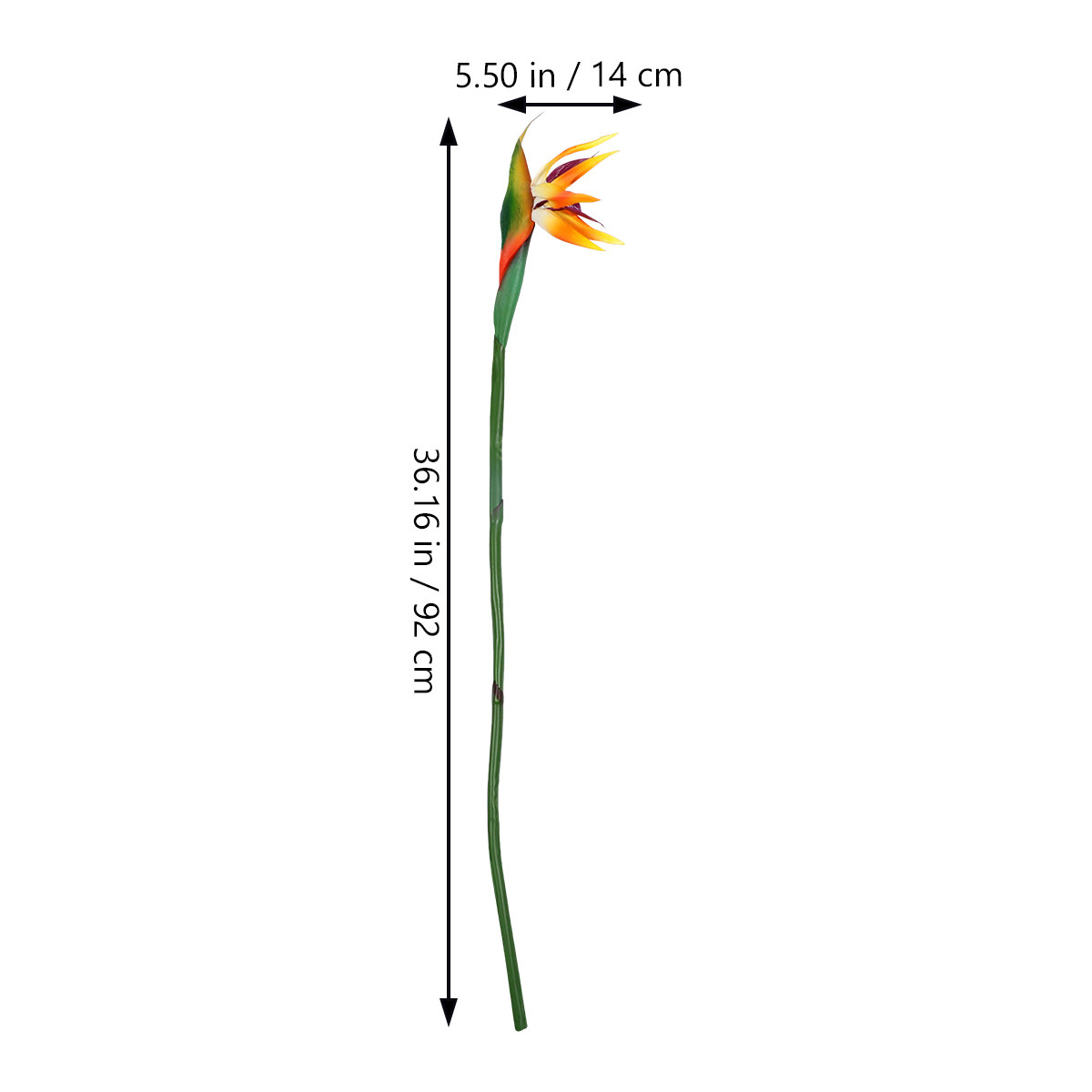 Искусственный цветок стрелиции – обзор и цена Bird Paradise Strelitzia