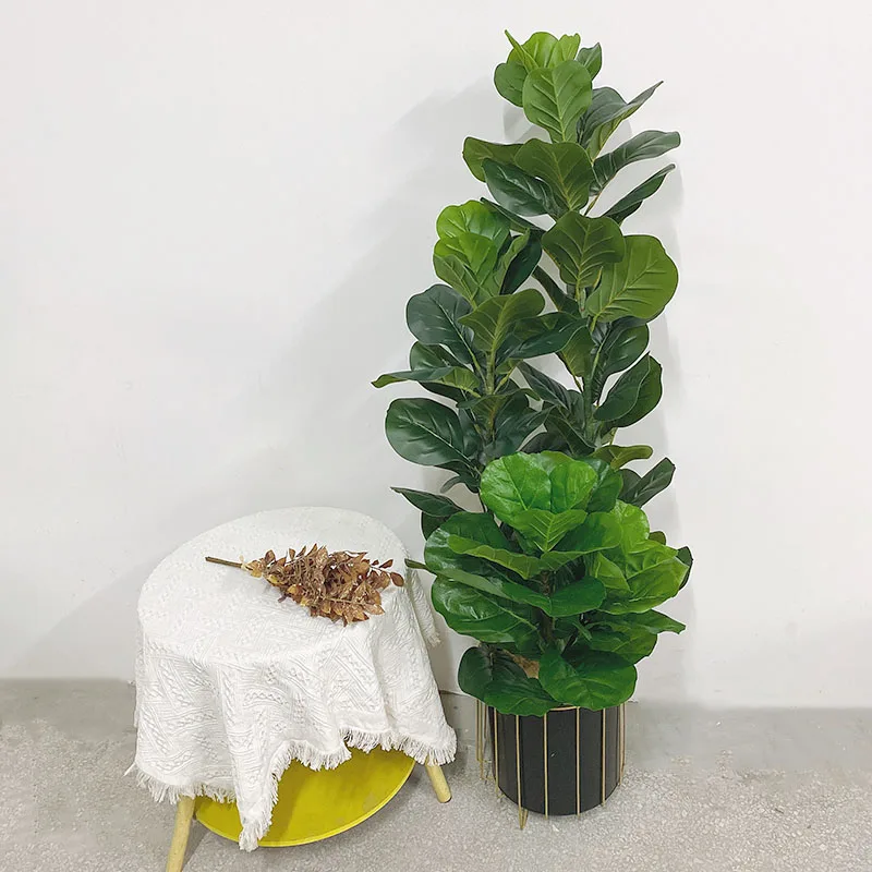 Искусственное тропическое дере – обзор и цена Ficus Lyrata Tree