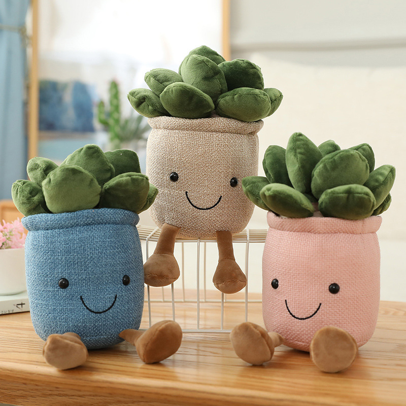 Реалистичные плюшевые игрушки- – обзор и цена Echeveria Succulent