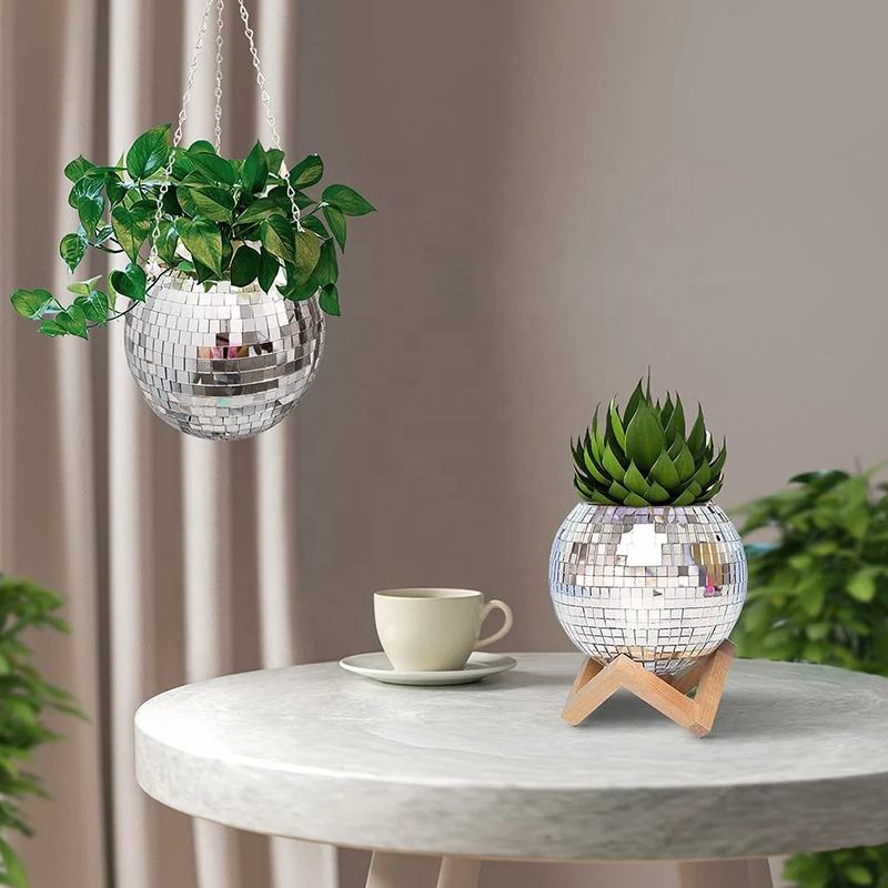 Декоративное кашпо-корзина в ф – обзор и цена Echeveria Succulent